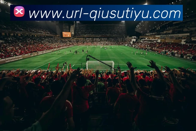 多媒体互动体验